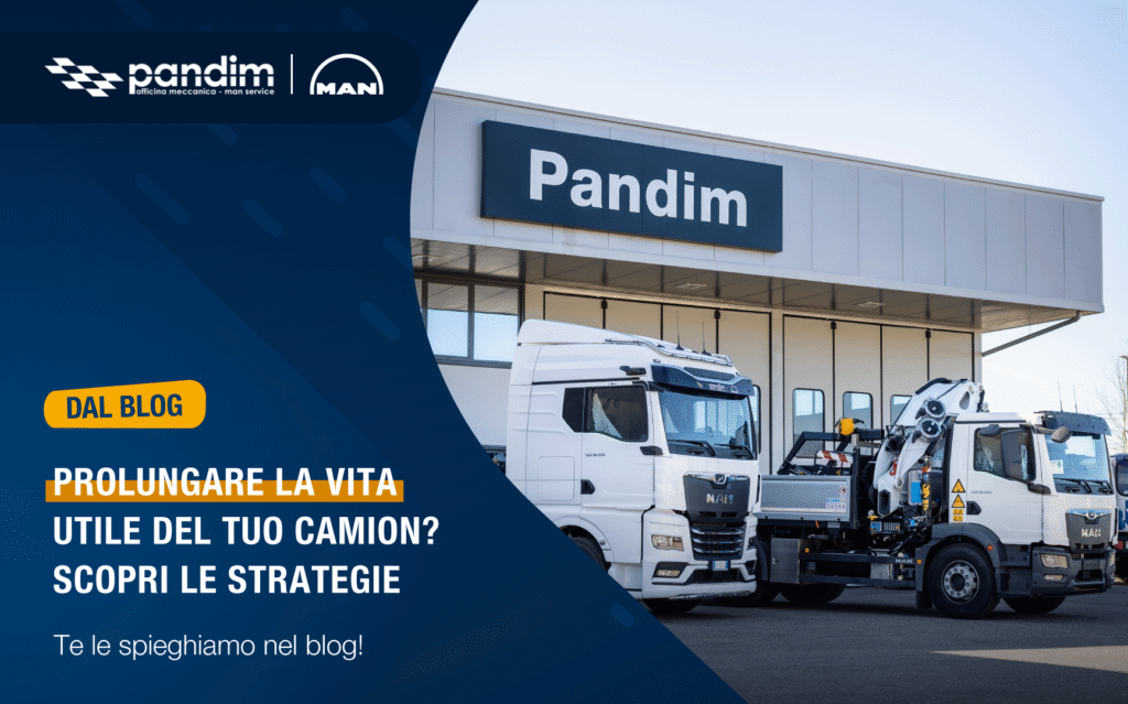 Pandim_mag25_post_01-web